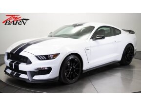 2019 Ford Mustang Shelby GT350 Coupe for sale 101778233