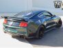 2019 Ford Mustang for sale 101805001