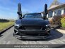 2019 Ford Mustang for sale 101810078