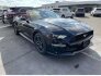 2019 Ford Mustang for sale 101819091