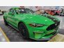 2019 Ford Mustang Coupe for sale 101823749