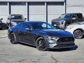 2019 Ford Mustang for sale 101843740