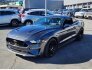 2019 Ford Mustang for sale 101843740