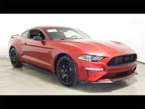 2019 Ford Mustang for sale 101844561