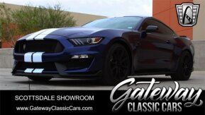 2019 Ford Mustang Shelby GT350 for sale 101876619