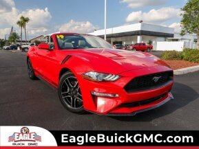 2019 Ford Mustang for sale 101929311