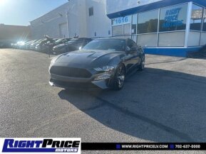 2019 Ford Mustang for sale 102025838