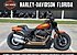 2019 Harley-Davidson Softail Fat Bob 114 for sale 200630144