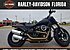 2019 Harley-Davidson Softail Fat Bob for sale 200635102