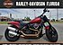 2019 Harley-Davidson Softail Fat Bob for sale 200663223