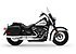 2019 Harley-Davidson Softail for sale 200623583