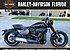2019 Harley-Davidson Softail FXDR 114 for sale 200741575
