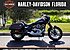 2019 Harley-Davidson Softail Sport Glide for sale 200764454