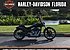 2019 Harley-Davidson Softail Breakout 114 for sale 200764458