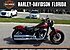 2019 Harley-Davidson Softail for sale 200799096