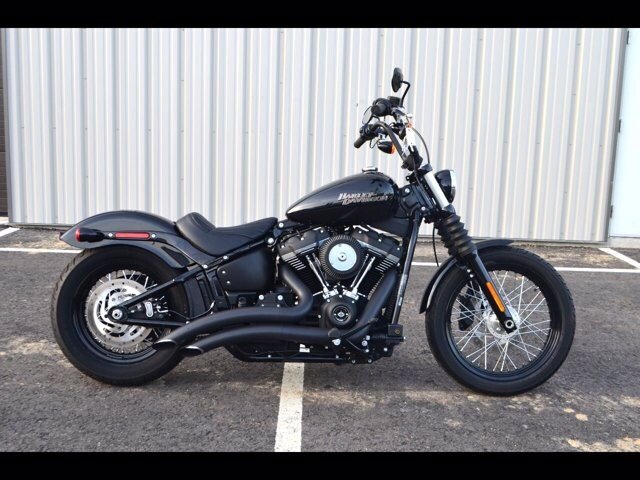 harley street bob for sale