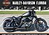 2019 Harley-Davidson Sportster Iron 883 for sale 200665808