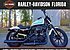 2019 Harley-Davidson Sportster Iron 1200 for sale 200693897