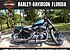 2019 Harley-Davidson Sportster Iron 1200 for sale 200694312
