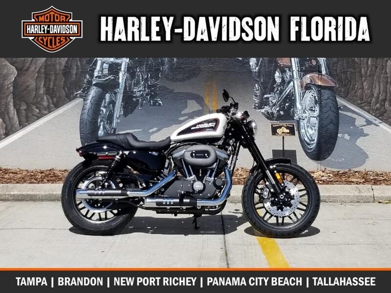 harley davidson roadster for sale