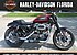 2019 Harley-Davidson Sportster Roadster for sale 200767833