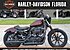 2019 Harley-Davidson Sportster Iron 1200 for sale 200769881