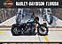 2019 Harley-Davidson Sportster Iron 1200 for sale 200786215
