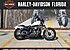 2019 Harley-Davidson Sportster Iron 1200 for sale 200805270