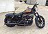 2019 Harley-Davidson Sportster Iron 883 for sale 200893373