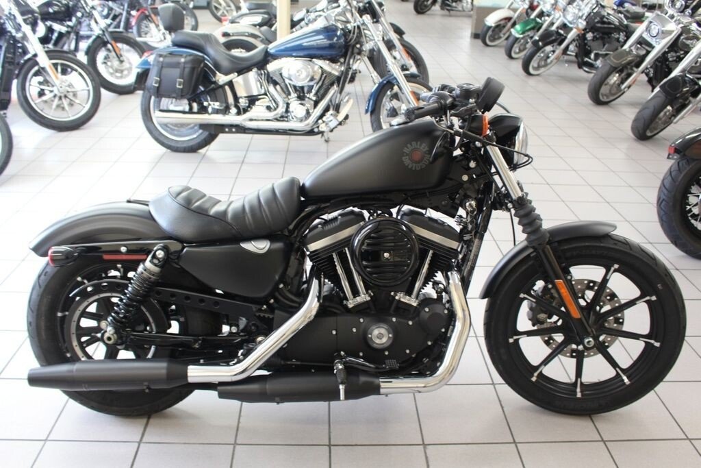 harley davidson iron 883 for sale near me