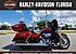 2019 Harley-Davidson Touring Ultra Limited Low for sale 200619232