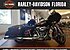 2019 Harley-Davidson Touring Road Glide for sale 200624813