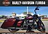 2019 Harley-Davidson Touring Road King Special for sale 200652816