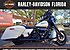 2019 Harley-Davidson Touring Road King Special for sale 200655914