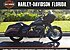 2019 Harley-Davidson Touring Road Glide Special for sale 200712384