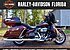 2019 Harley-Davidson Touring Electra Glide Ultra Classic for sale 200786204