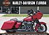 2019 Harley-Davidson Touring Road Glide Special for sale 200795051