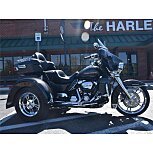 2019 Harley-Davidson Trike for sale 201351729