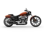Thumbnail Photo 4 for New 2019 Harley-Davidson Softail