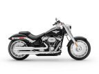 Thumbnail Photo 1 for New 2019 Harley-Davidson Softail