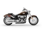 Thumbnail Photo 6 for New 2019 Harley-Davidson Softail