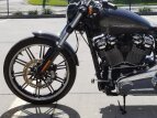 Thumbnail Photo 17 for New 2019 Harley-Davidson Softail Breakout 114