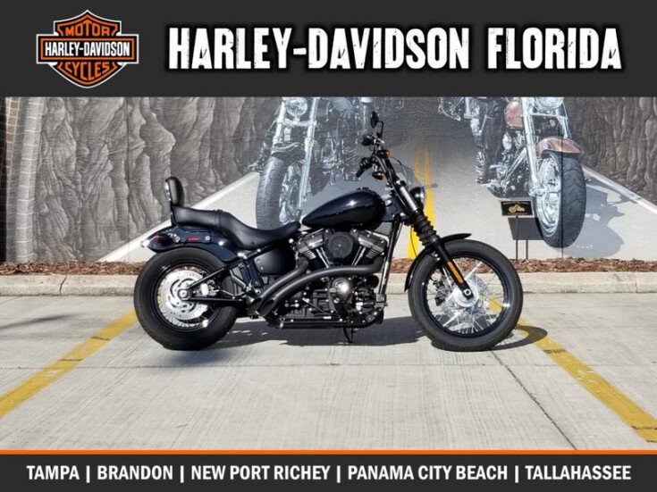Thumbnail Photo undefined for 2019 Harley-Davidson Softail Street Bob
