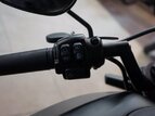 Thumbnail Photo 43 for 2019 Harley-Davidson Softail