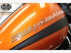 Thumbnail Photo 14 for 2019 Harley-Davidson Softail Fat Boy 114