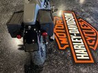 Thumbnail Photo 4 for 2019 Harley-Davidson Softail Street Bob
