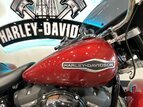 Thumbnail Photo 19 for 2019 Harley-Davidson Softail Sport Glide