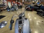 Thumbnail Photo 28 for 2019 Harley-Davidson Softail Low Rider