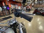 Thumbnail Photo 29 for 2019 Harley-Davidson Softail Low Rider