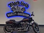 Thumbnail Photo 0 for 2019 Harley-Davidson Softail Breakout 114